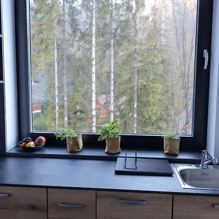 Apartmán Rezidencia Hrabovo In-out *